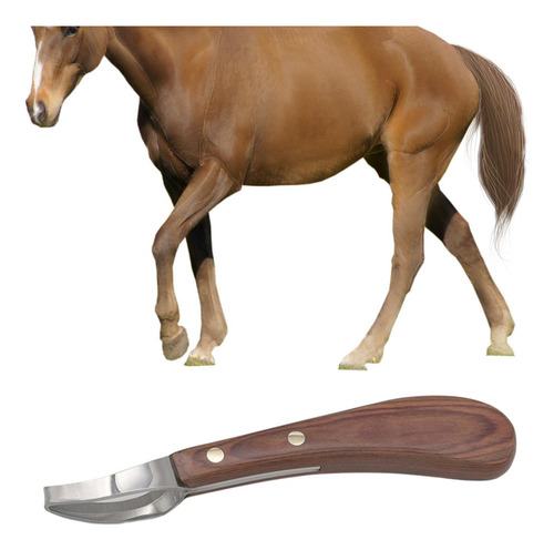 Cuchillo Para Pezuñas De Caballo, Herramienta Para Cortar