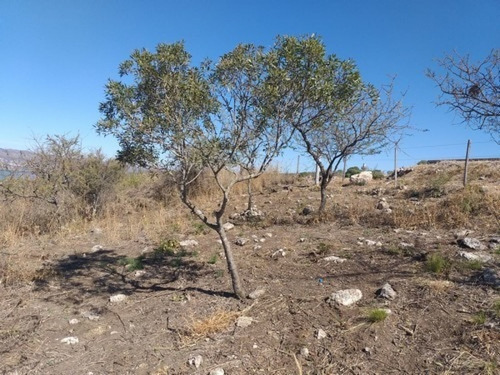 Imagen 9 de 12 de Vendo Lote En Parque Siquiman Con Vista Al Lago