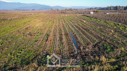 Predio De 40 Ha Con Derecho De Agua Comuna De Teno