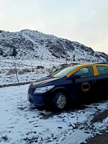 Traslado A La Costa Atlántica Con Mascotas Ezeiza Taxi Remis