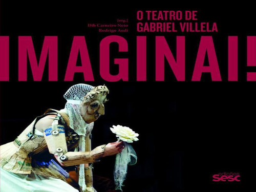 Imaginai: O Teatro De Gabriel Villela, De Audi, Rodrigo. Editora Sesc Sp, Capa Mole, Edição 1ª Edição - 2017 Em Português