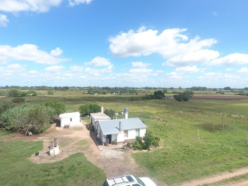 Chacra De 6,5hás En La Paloma, Canelones