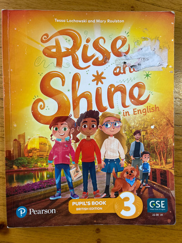 Rise And Shine In English 3 Pupils Y Activity Pearson (Usado)