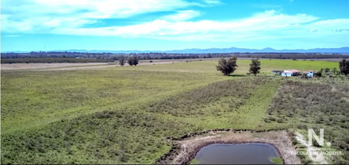 Campo En Venta En Canelones