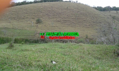 Imagem 11 de 15 de Fazenda Em Santa Branca 125 Alqueires - 805