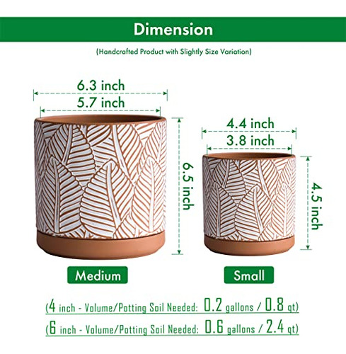 D'vine Dev Set De 2 Macetas De Terracota, Maceta Con Patrón