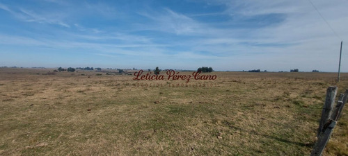 Imagen 4 de 7 de Venta De Chacra 15 Has En San Carlos, Maldonado