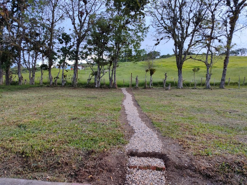 Em. Casa De Campo Vía Casa Padre En Monte Carmelo 19.900$