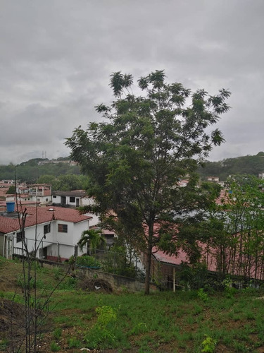 Imagen 11 de 15 de Casa En Urb. Brisas De Cua
