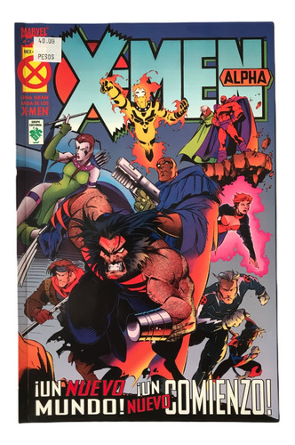 Los Hombres X X-men Alpha Marvel Comics Vid 2002 Scott Lobde (Usado)