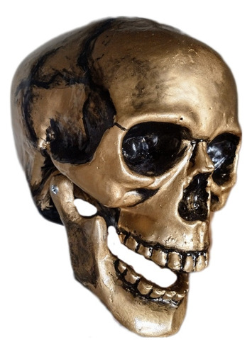 Cráneo Humano Dorado, Mandíbula Articulada Tamaño Real