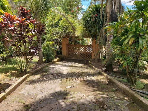 Imagem 15 de 29 de Chácara Ibiuna 2.400 Mts Casa,pomar, Piscina, Oportunidade