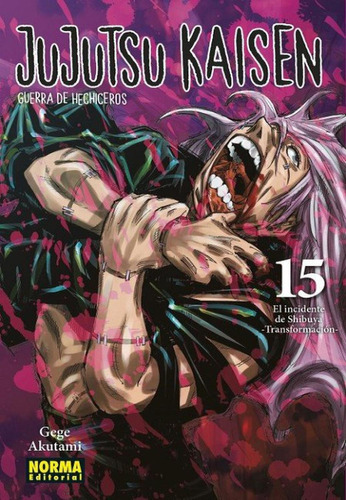 Jujutsu Kaisen Vol.15, De Gege Akutami. Serie Jujutsu Kaisen, Vol. 15. Editorial Norma, Tapa Blanda En Español, 2021