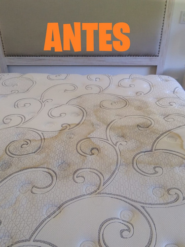 Imagen 2 de 10 de Limpieza De Tapizados De Sillones, Colchones, Alfombras...