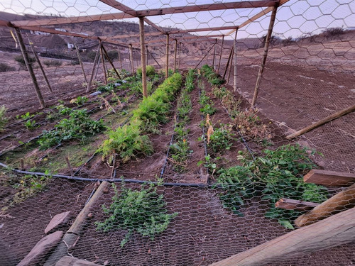 Vende Terreno En Hacienda Chacabuco Oportunidad S/comisión