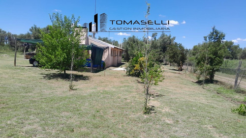 Venta - Chacra Con Casa Y Plantacion- Rama Caida - Mendoza