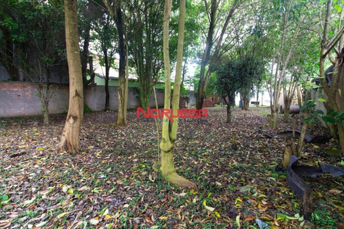 Imagem 17 de 17 de Terreno Para Venda - 11961.001