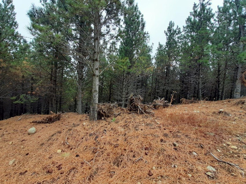 Barrio Solares Bariloche Consulte Disponibilidad Lotes