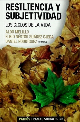 Resiliencia Y Subjetividad : Los Ciclos De La Vida - Melillo