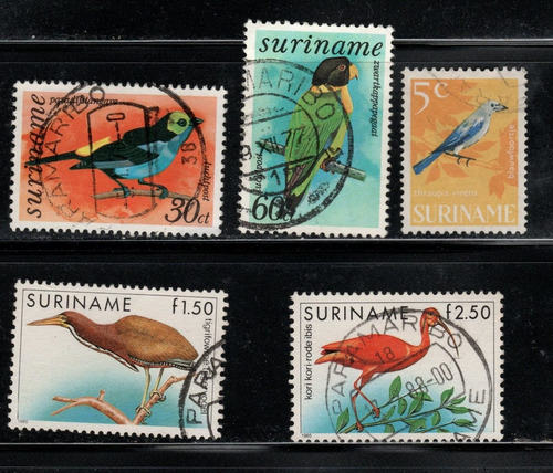 Surinam Fauna Aves Pajaros 1988