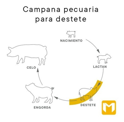 Imagen 2 de 3 de Campana Pecuaria Infrarroja Con Interruptor P350-s Megamex
