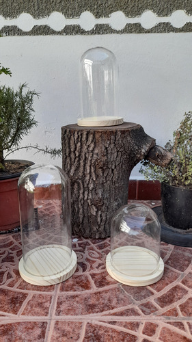 Cúpula De Vidrio Decorativa Para Centro De Mesa Grande