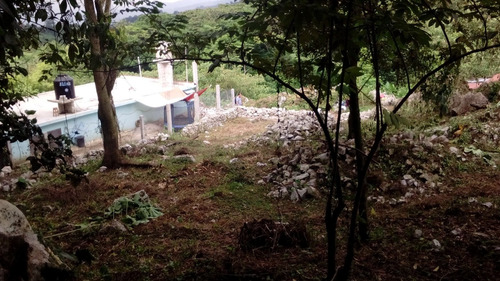 Imagen 1 de 5 de Terreno En Cuetzalan 960 Mts