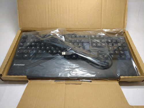 Teclado Lenovo Kuf0452 Com Leitor Biométrico E Ç Cabo Usb