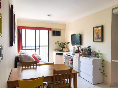 Imagem 1 de 14 de Apartamento À Venda, 1 Quarto, 1 Vaga, Laranjeiras - Rio De Janeiro/rj - 545