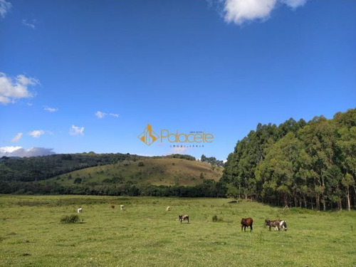 Imagem 4 de 15 de Rural Chacara - 886221-v