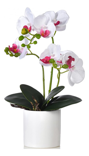 Fulehouzz Flores De Orquídeas Artificiales Con Florero Phala