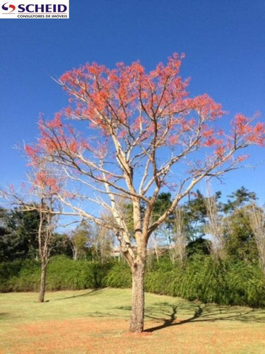 Imagem 3 de 9 de Quinta Da Baroneza - Bragança Paulista - Mr66216