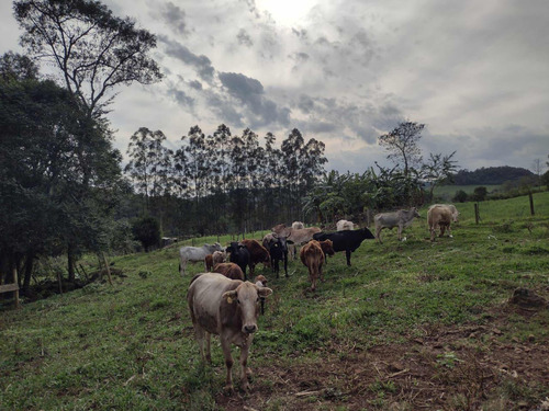 Vende Se Uma Propriedade Com Porteira Fechada