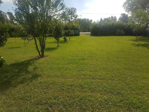 Imagen 2 de 14 de Importante Inmueble Comercial Sobre Ruta 24