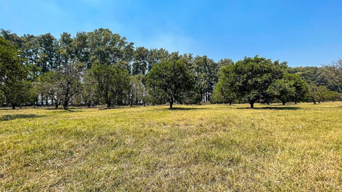 Venta! Terreno De 887 M2 En Azahares Del Paraná.