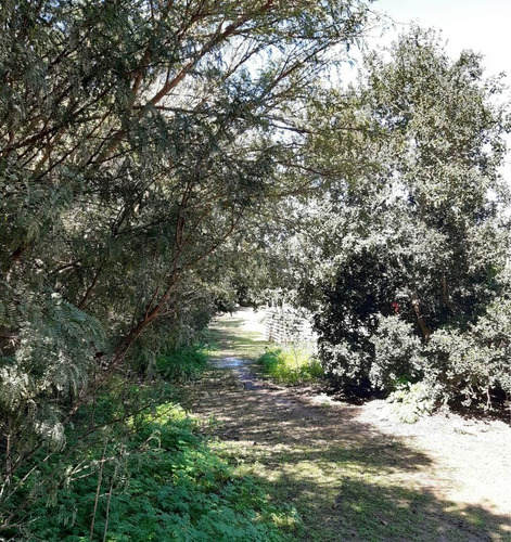 Rebajada Linda Parcela Con 2 Cabañas En Pinares De Algarrobo