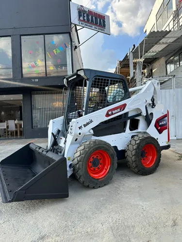 Bobcat