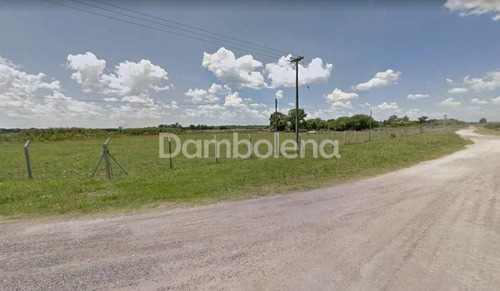 Terreno  En Venta -  Luján