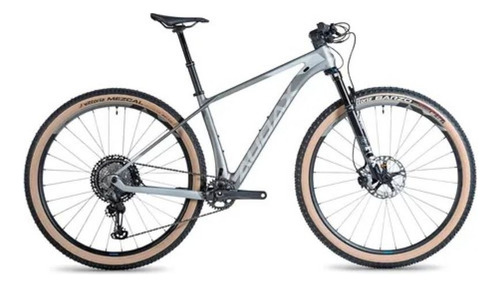 Bicicleta Aro 29 Audax Auge 40 Carbon Xtr 12v Prata Fosco