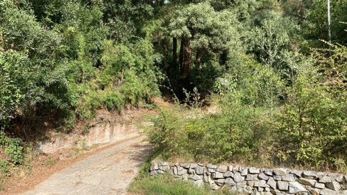 Sitio En Sector Fresia De Villuco, Chiguayante
