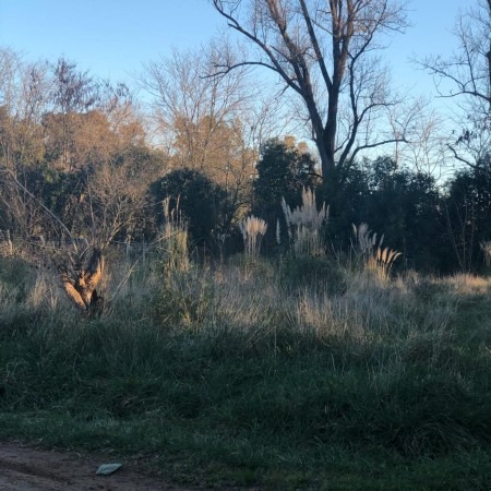 Imagen 8 de 24 de Lote 1560mts Escriturado Excelente Lugar Semi Cerrado Francisco Alvarez