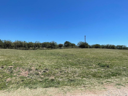 Imagen 9 de 11 de Terreno - Los Nogales
