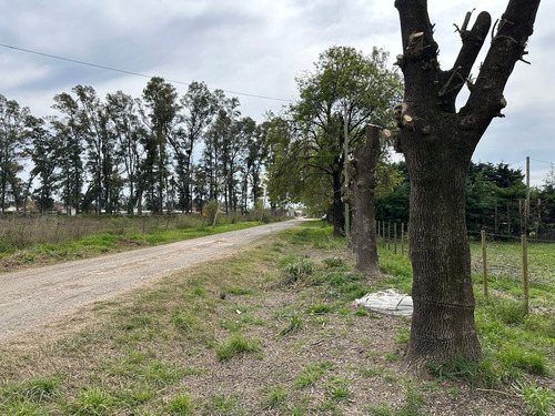 Terreno Lote En Venta En Lima, Zárate, G.b.a. Zona Norte