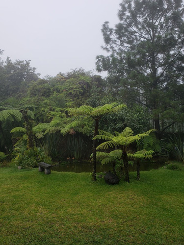 Rancho Entre Nubes Y Montañas En Cuetzalan Puebla