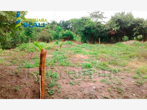 Imagen 3 de 10 de Terreno En Venta Manlio Fabio Altamirano