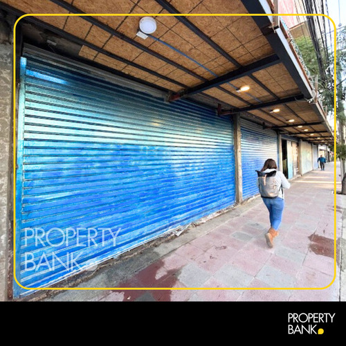 Arriendo Local Comercial En San Miguel / Teresa Vial