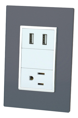 Placa Venecia Humo Doble Usb