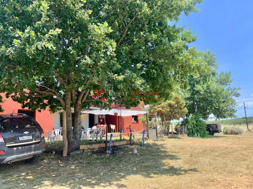 Imagen 3 de 30 de Venta - Chacra De 45 Has Muy Pintorescas En Villa Serrana