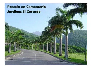Venta De 4 Parcelas De Cementerio (jardines El Cercado Y Jardín La Puerta) Cada Parcela Con 2 Fosas. Inversión A Mediano Plazo - Negocio - Ganancias - Gana Dinero -previsión Oportunidad