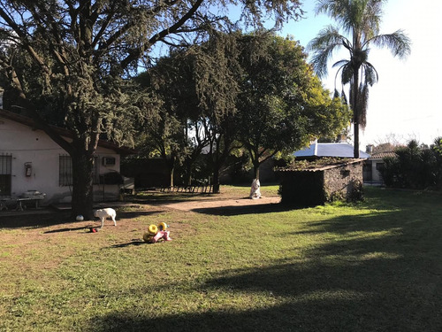Quinta Financiada Inversión Lote Terreno Venta